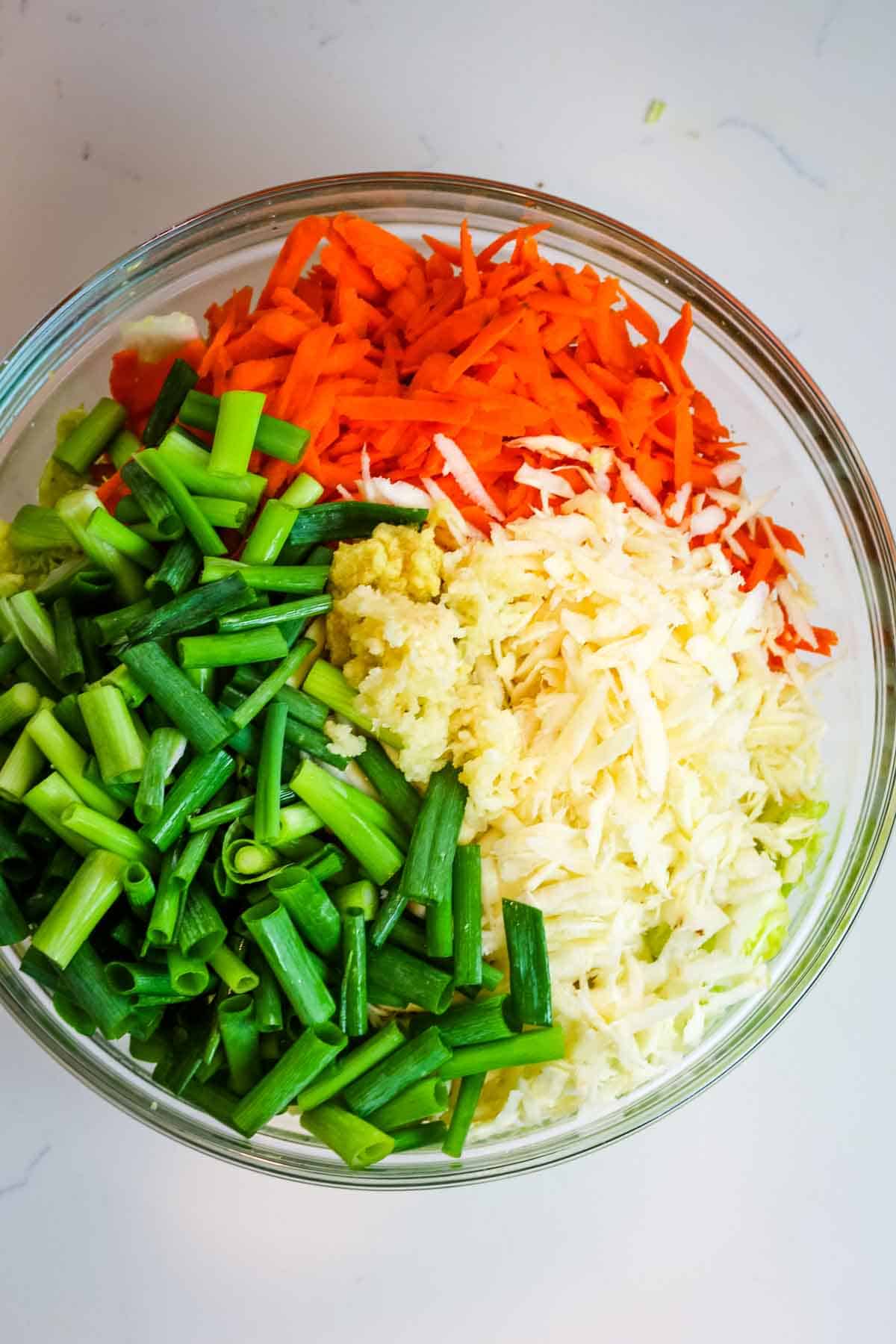 carrots, radish, and green onions added to napa cabbage in kimchi recipe.