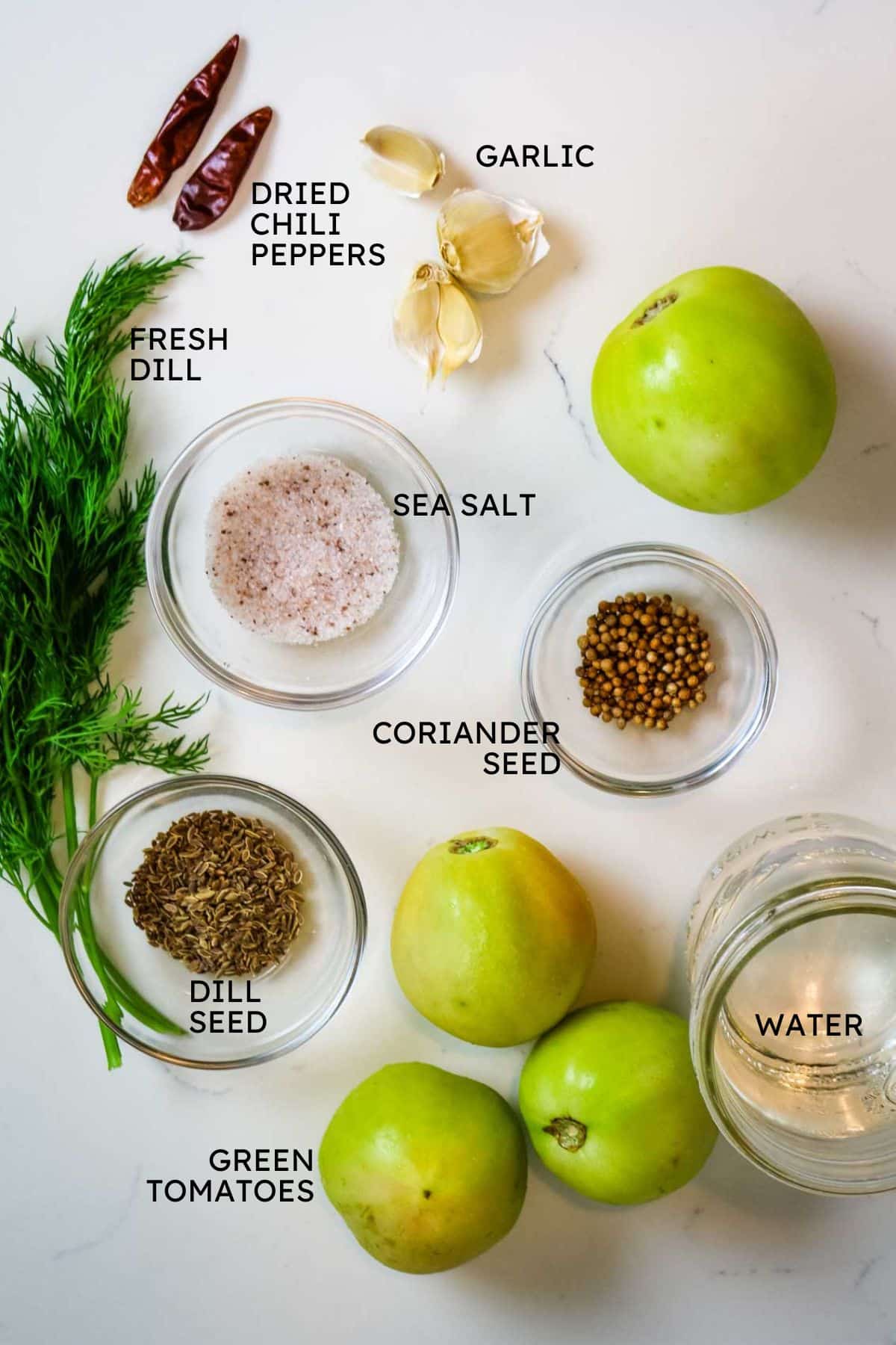 ingredients for pickled green tomatoes including fresh dill, salt, dill seed, and cordiander seed.