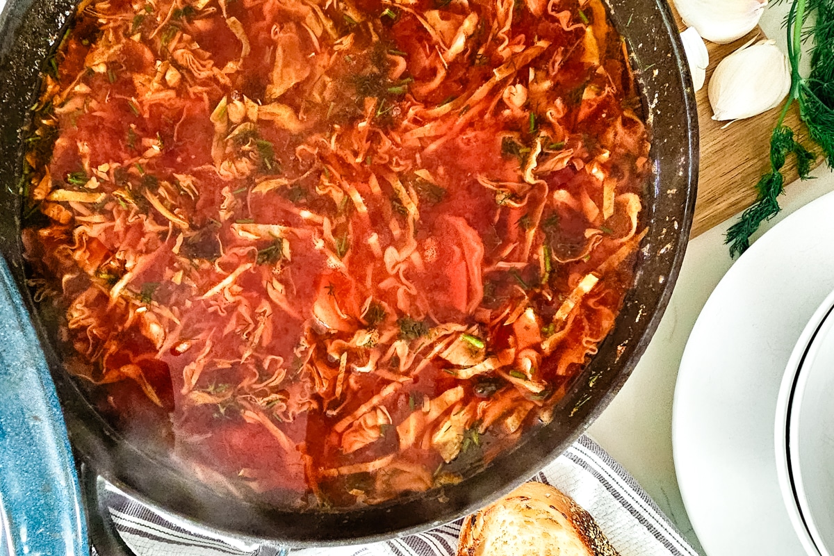 overhead borsch in a Dutch oven with fresh dill to the side.