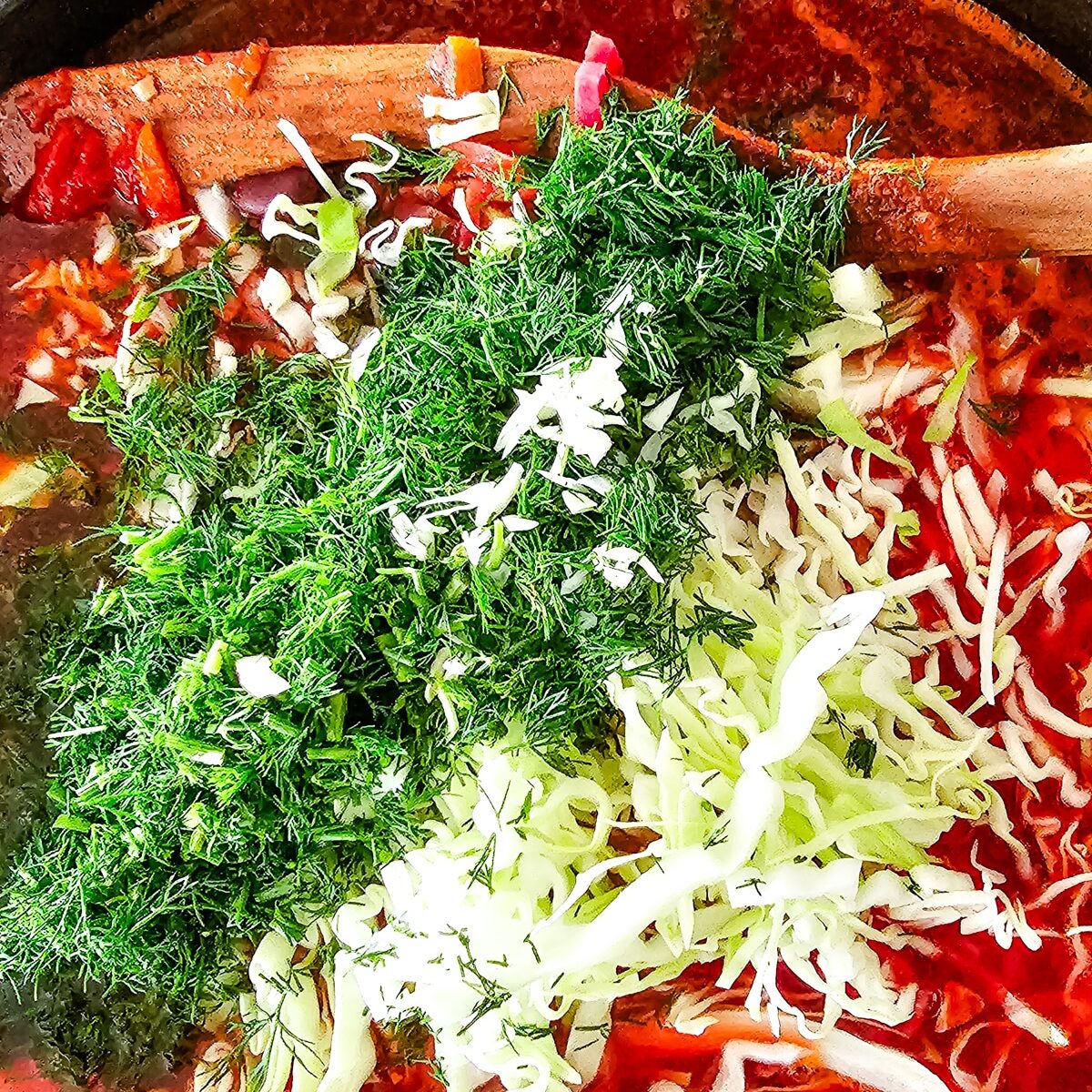 finely shredded cabbage and chopped dill in a large pot of beet soup.
