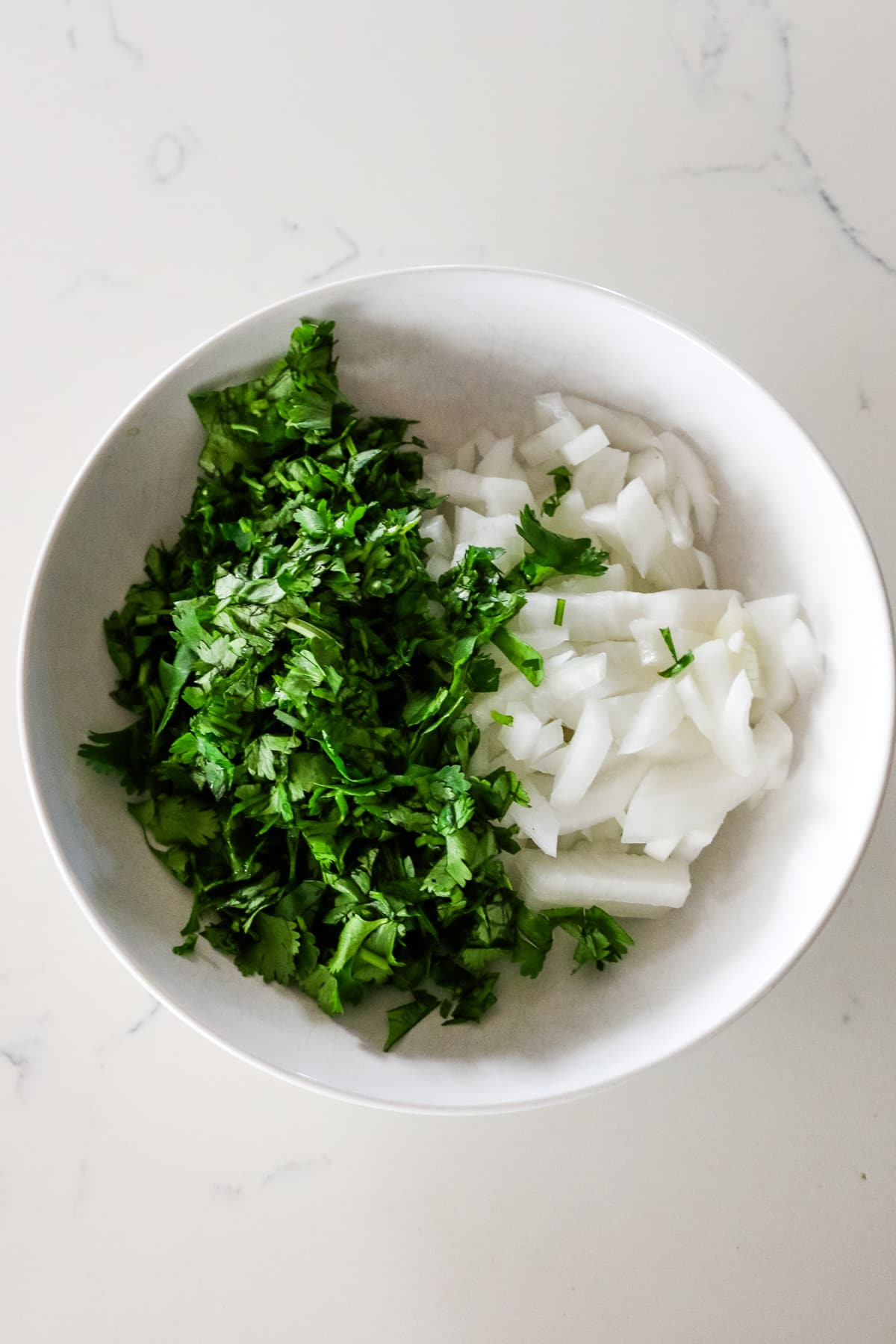 Bowl with cilantro and onions inside of it.