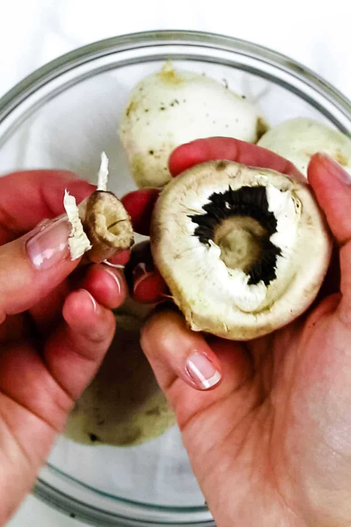 mushroom held in hand with stem picked off by the left hand.