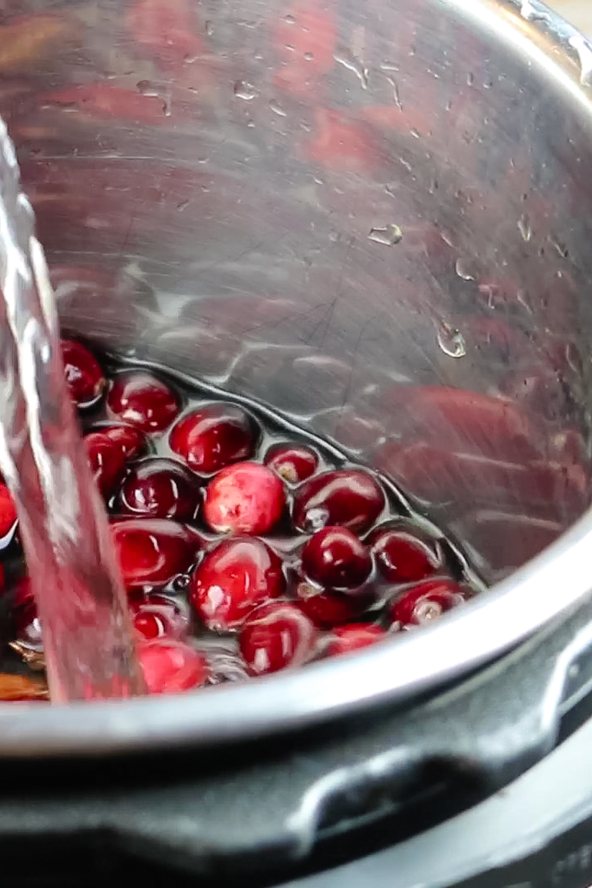 fresh cranberries in a pot with water poured over them.