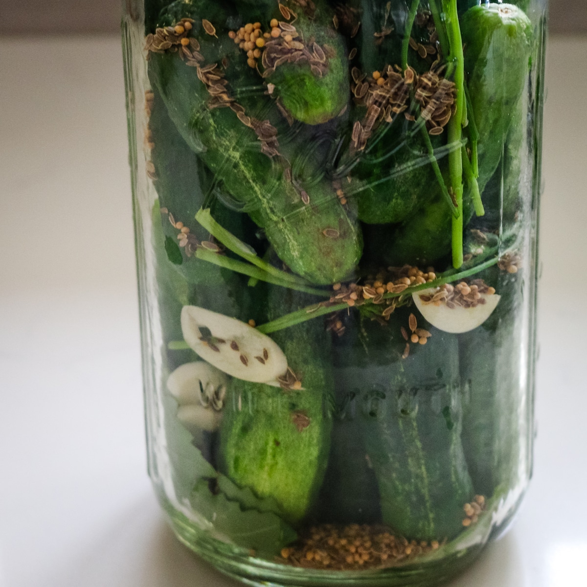 In a half-gallon-sized jar, place a few leaves at the bottom and add dried pepper. Pack the cucumbers tightly on top of the leaves.