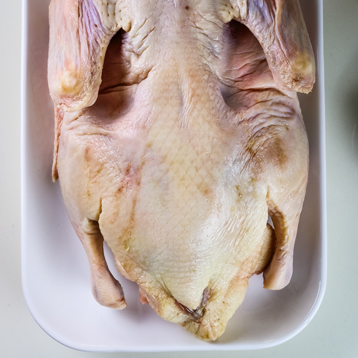 Duck on a white plate.