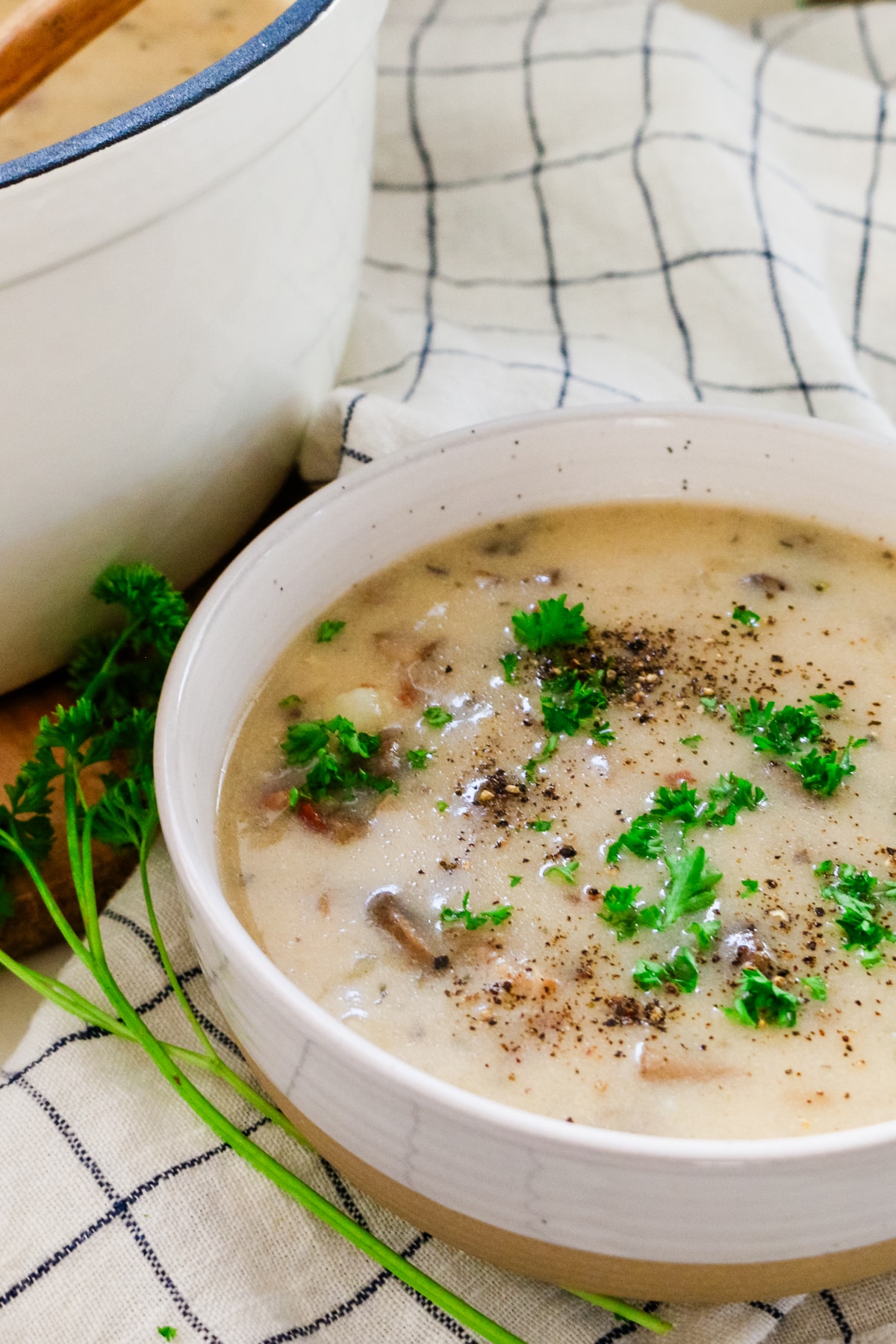 Mushroom and potato soup in a white bowl.