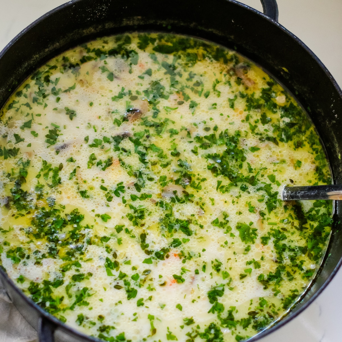 Turkey soup in a pot with a ladle.