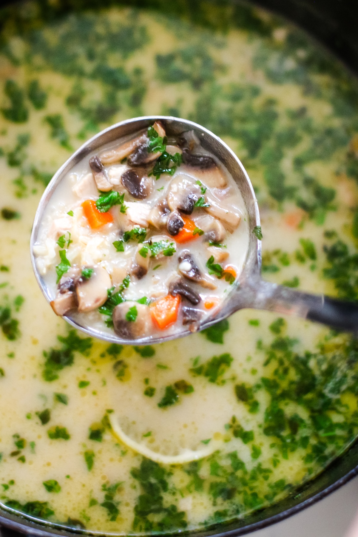 A ladle over the pot of turkey soup holding a scoup of turkey soup.