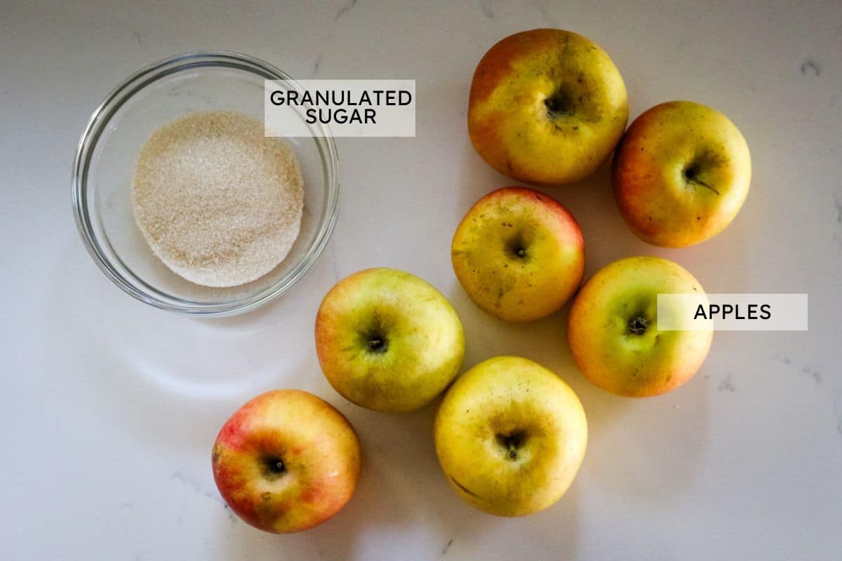 ingredients for apple cider vinegar with labels.