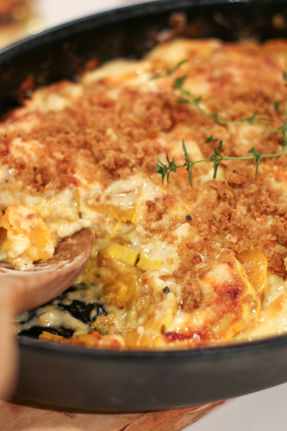 baked delicata squash gratin in a baking dish, topped with melted cheese and breadcrumbs, golden and bubbly.