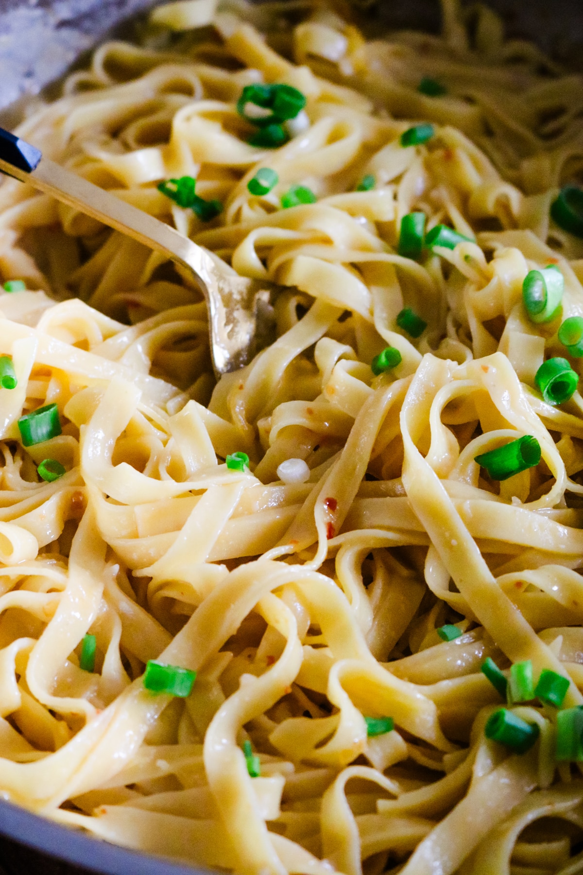miso pasta with a spoon and green onion garnish.