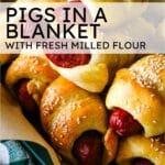 pigs in a blanket on a tray with text overlay saying pigs in blanket.
