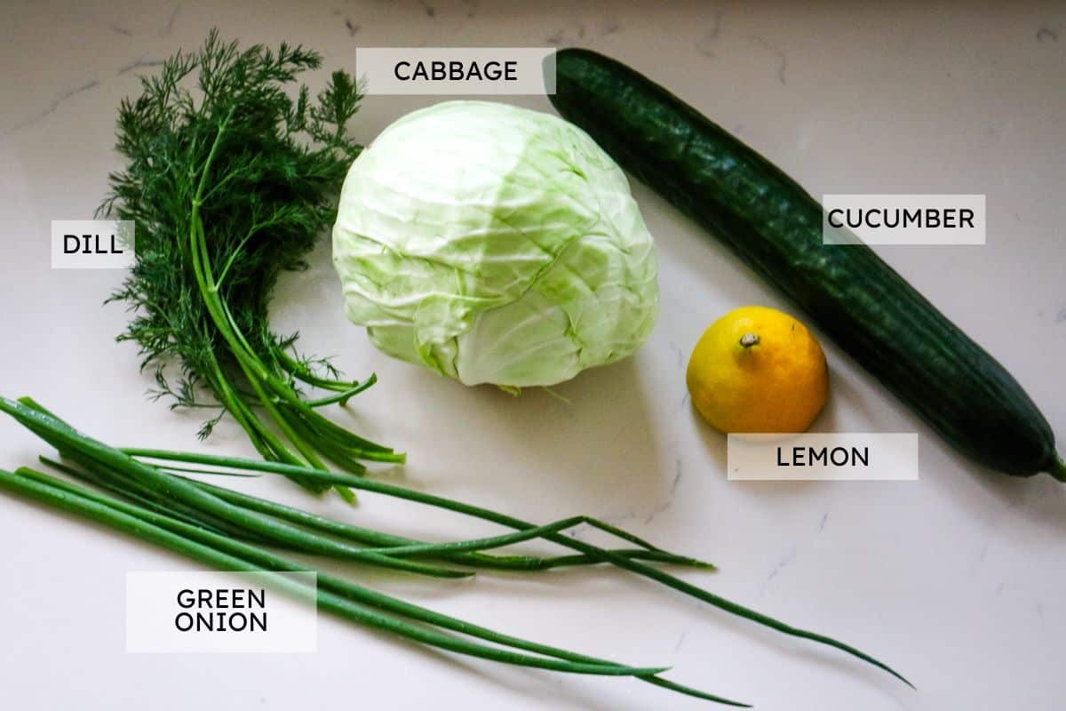 ingredients for cucumber cabbage salad with labels.