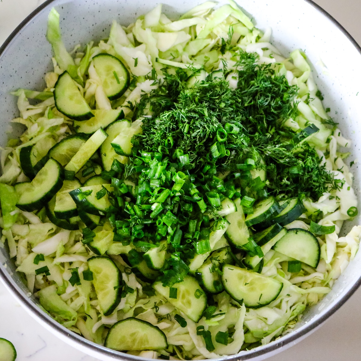 Sliced cucumbers, chopped fresh dill, and sliced green onions layered over shredded cabbage in a large mixing bowl, ready to be tossed together.