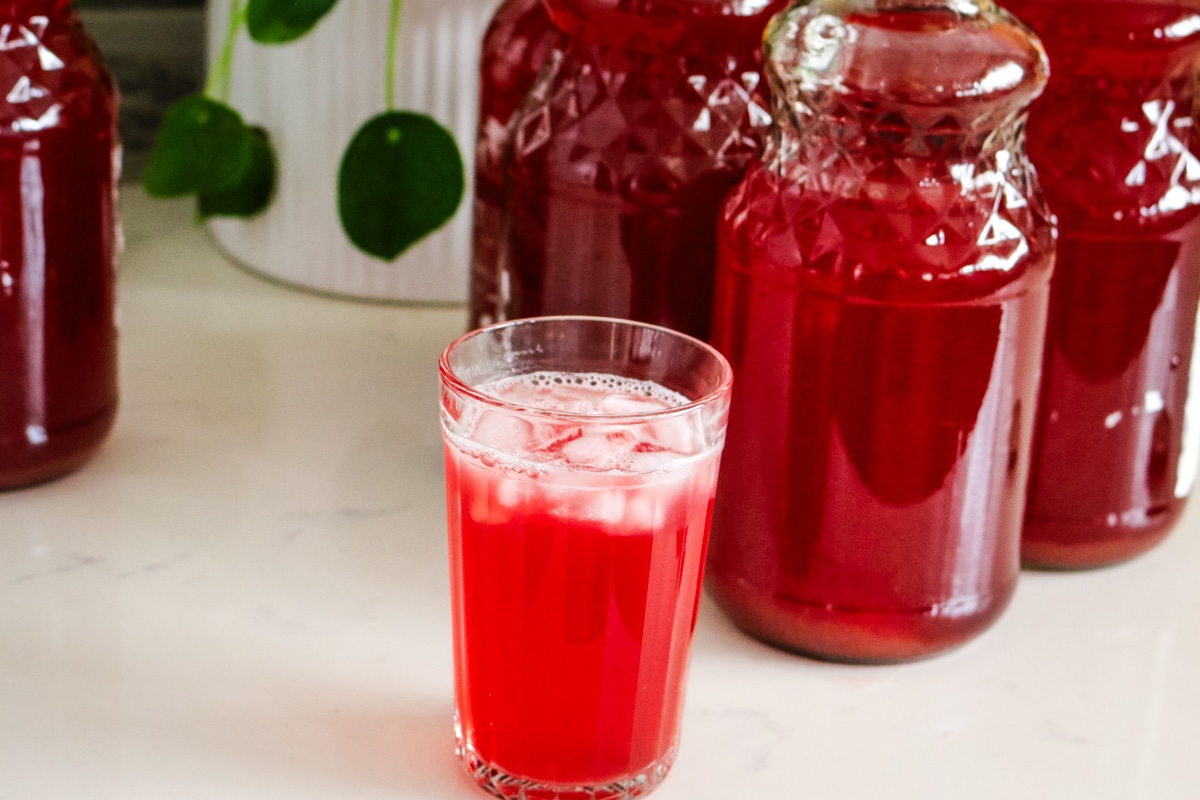 A glass of homemade fruit kompot in the foreground, with several large glass jars filled with the beverage and a potted plant in the background.