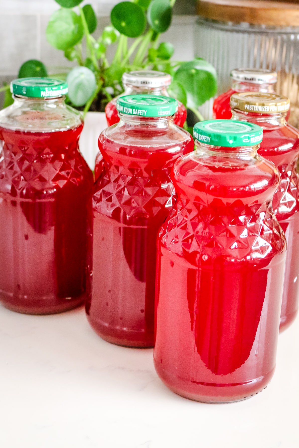 Bottles of homemade fruit kompot on a kitchen counter.